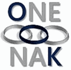 Onenak Consulting